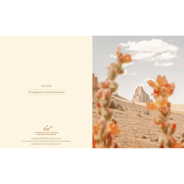 Tyana Arviso Notecards 20pk - Desert Dream