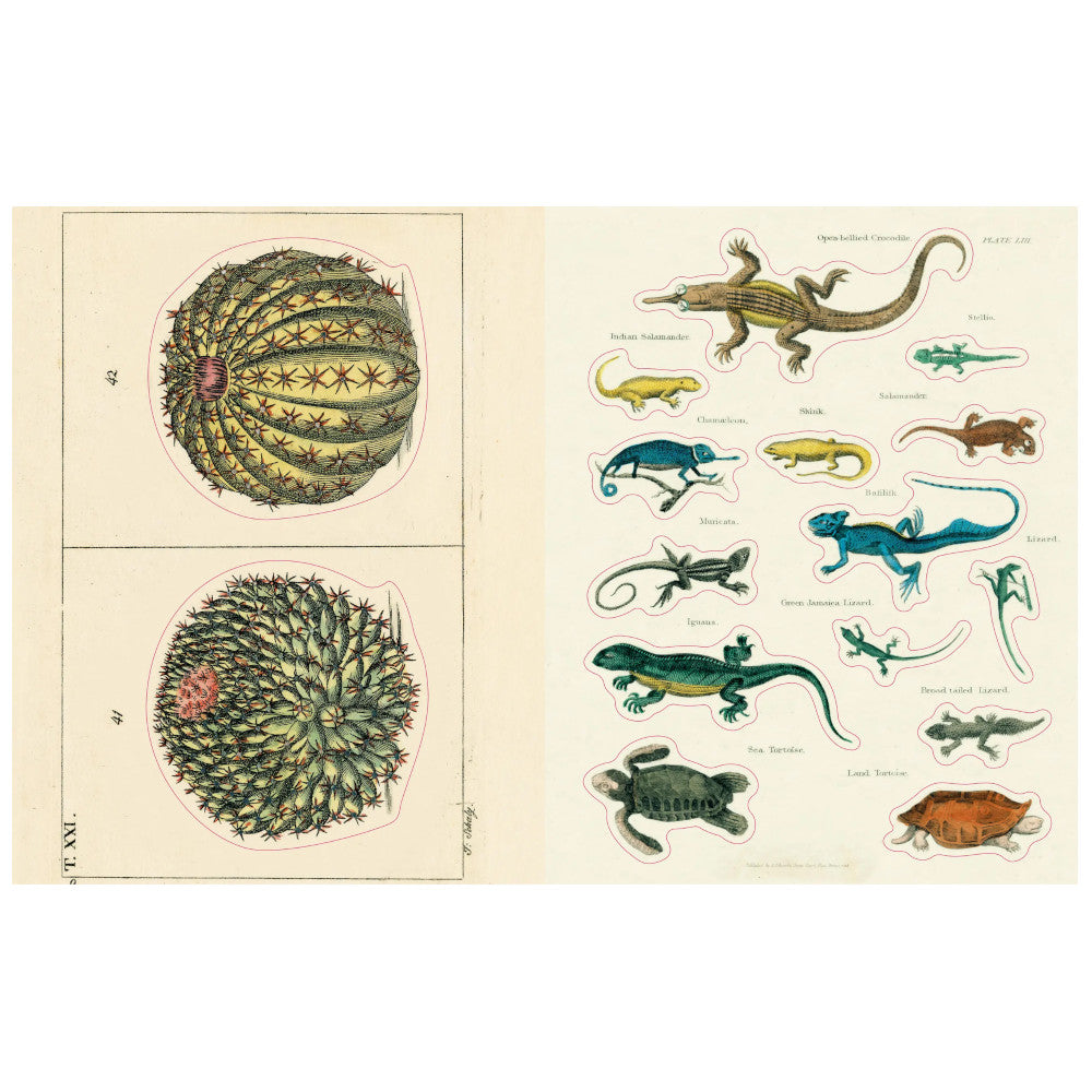 John Derian Sticker Book II – Midoco Art & Office Supplies