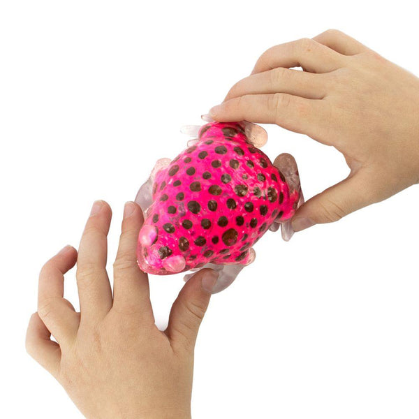 Beadz Alive Sensory Fidget Toy - Frog, Assorted
