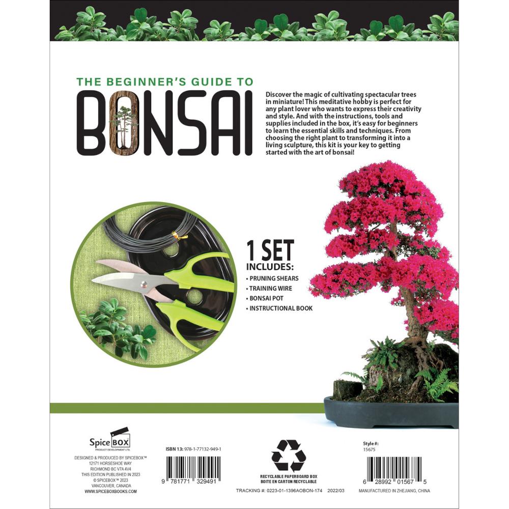 bonsai tree starter kit canada SpiceBox Beginner's Guide to Bonsai Kit – Midoco Art & Office Supplies