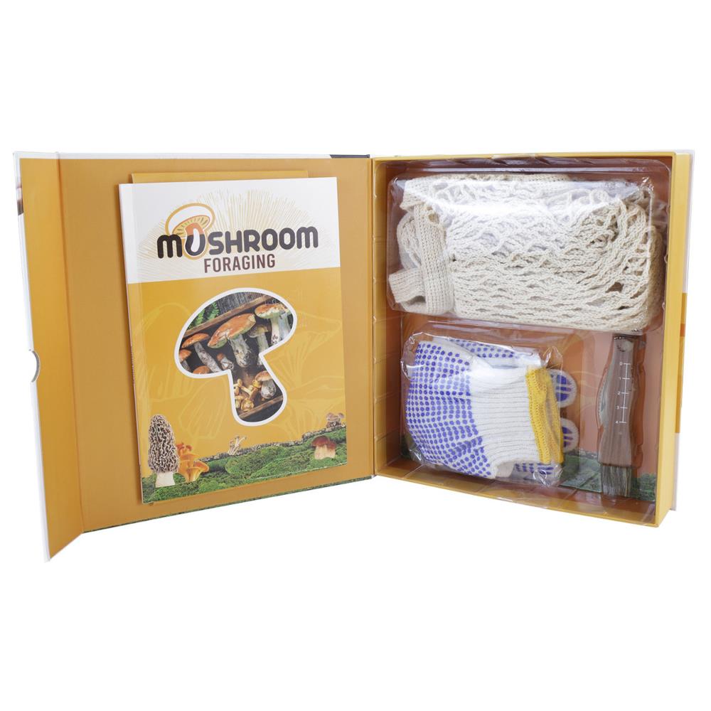 mushroomページ Amazon.co.jp: Nature Technicolor MONO+ Mushroom Magnet 1 & 2, 6