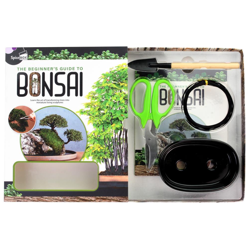 SpiceBox Beginner's Guide to Bonsai Kit – Midoco Art & Office Supplies