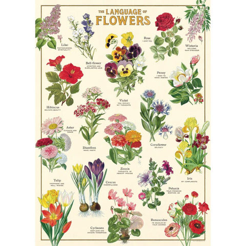 Cavallini Vintage Art Poster - Language of Flowers (Ó)
