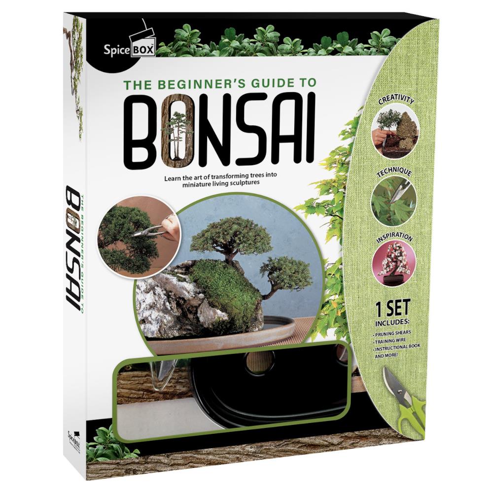 SpiceBox Beginner's Guide to Bonsai Kit – Midoco Art & Office Supplies