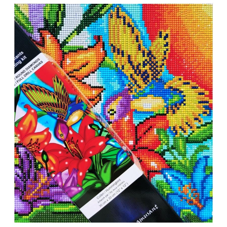 Jacarou Hummingbird Diamond Painting Kit 12