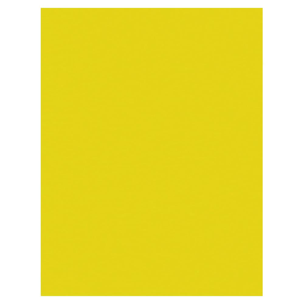 North American Paper Inc 22 X 28 Poster Board Lemon Yellow north-american-paper-inc-22-x-28-poster-board-lemon-yellow