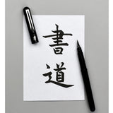 Pentel Arts Pocket Brush Pen - Black