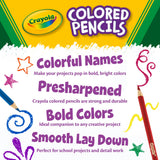 Crayola Coloured Pencils 48pk