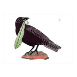 Pomegranate Notecard Set 20pk Inuit Art: Birds of Cape Dorset Assortment