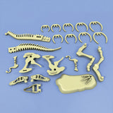 Thames & Kosmos Giant Dinosaur Skeleton Kit