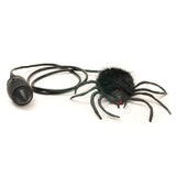 Lord Phartwell's Hairy Scary Jumping Spider