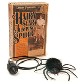 Lord Phartwell's Hairy Scary Jumping Spider