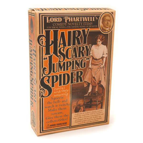 Lord Phartwell's Hairy Scary Jumping Spider