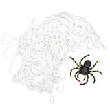 Ghostly Ghouls Giant Black Widow Spider with 5ft Web