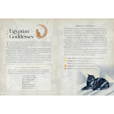 Rock Point Cat Magick Undated Planner