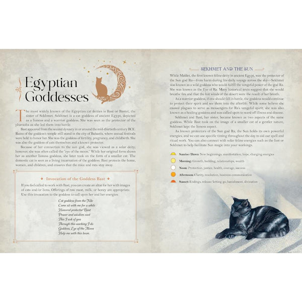 Rock Point Cat Magick Undated Planner