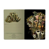Bruno Visconti A5 Notebook - Forest Floor