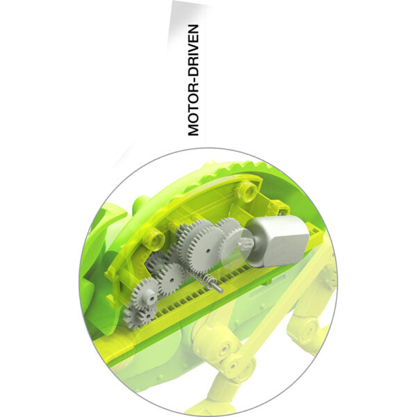 4M KidzLabs Kids Robotix Chameleon Cyborg Kit