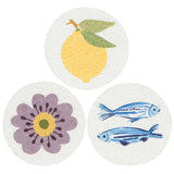 Now Designs Compostable Sponges - Market Day, Assorted