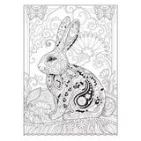 Creative Haven Colouring Book - Boho Bunnies