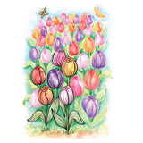 Creative Haven Drawn to Colouring Book - Gnomes & Gardens