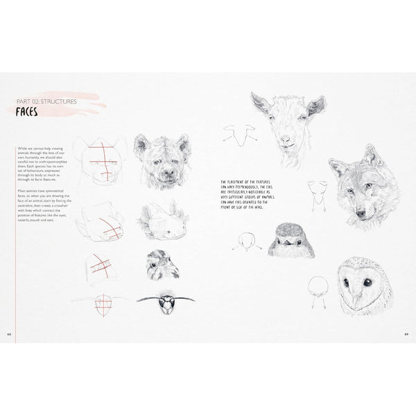 Ilex Press - You Will Be Able To Draw Animals By The End Of This Book by Jack Spicer