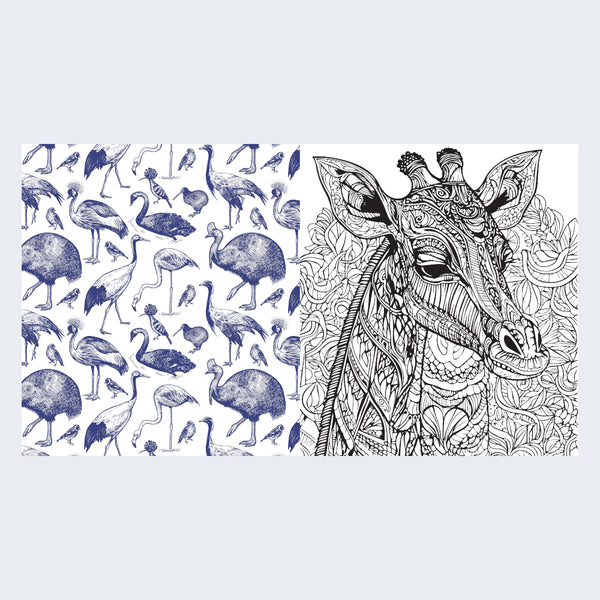 Chartwell Colouring Book - Animal Kingdom Coloring