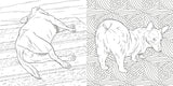 The Dog Butt Adult Colouring Book