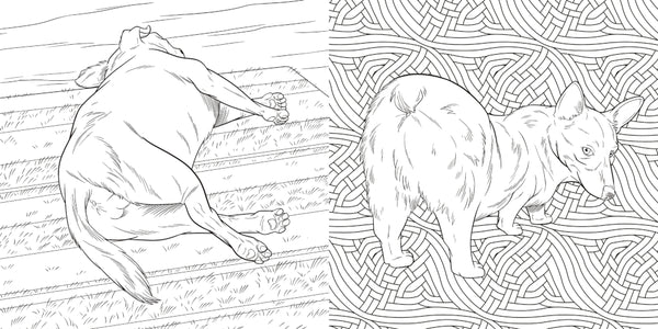 The Dog Butt Adult Colouring Book
