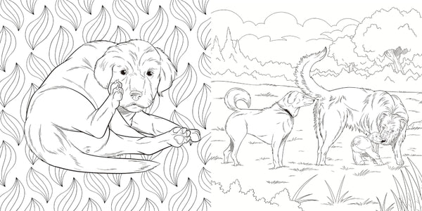 The Dog Butt Adult Colouring Book