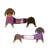 Paper House Valentine Cards Set 28pk Super Stretch Pets