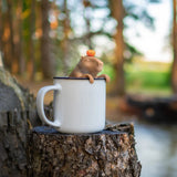 Fred Tea Infuser - Capybarahhh