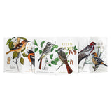 Field Notes Notebook 3pk, Lined: Trees & Birds of North America: Pack B