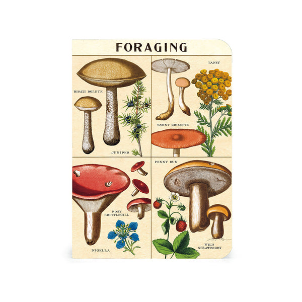 Cavallini Mini Notebook Set 3pk - Mushrooms, Mixed Paper