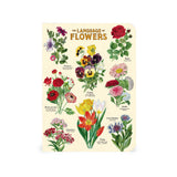Cavallini Mini (A6) Notebook Set 3pk - Language of Flowers, Mixed Paper 4x5.5" 96pg