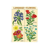 Cavallini Mini (A6) Notebook Set 3pk - Language of Flowers, Mixed Paper 4x5.5" 96pg