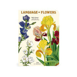 Cavallini Mini (A6) Notebook Set 3pk - Language of Flowers, Mixed Paper 4x5.5" 96pg