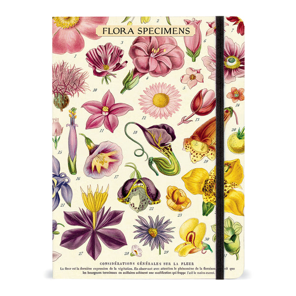 Cavallini Large (A5) Notebook with Elastic Closure - Flora Specimen 6x8" Lined 144pg