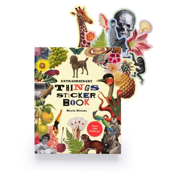 Extraordinary Things Sticker Book by Maria Rivans