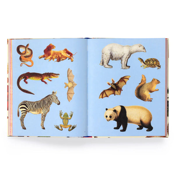 Extraordinary Things Sticker Book by Maria Rivans