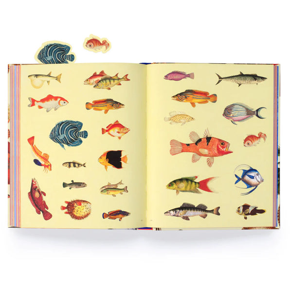 Extraordinary Things Sticker Book by Maria Rivans