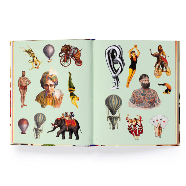 Extraordinary Things Sticker Book by Maria Rivans