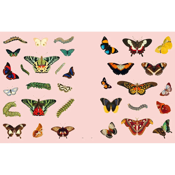 Extraordinary Things Sticker Book by Maria Rivans