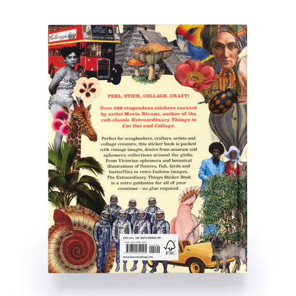 Extraordinary Things Sticker Book by Maria Rivans