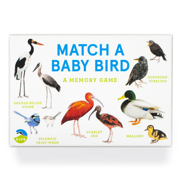 Laurence King Match a Baby Bird: A Memory Game