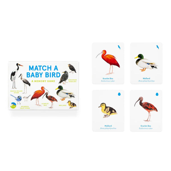 Laurence King Match a Baby Bird: A Memory Game
