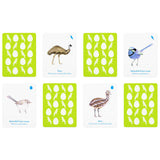 Laurence King Match a Baby Bird: A Memory Game