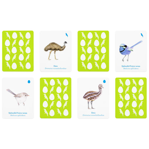 Laurence King Match a Baby Bird: A Memory Game