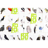 Laurence King Match a Baby Bird: A Memory Game