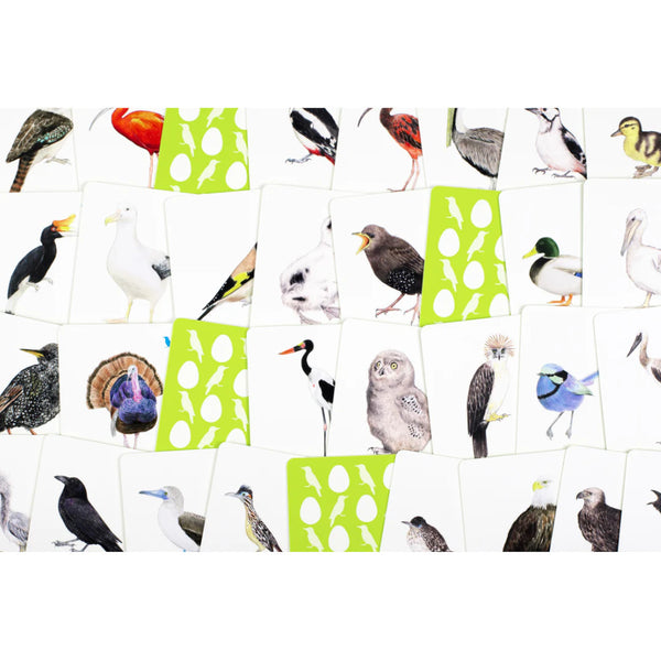 Laurence King Match a Baby Bird: A Memory Game